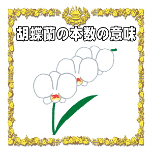 就任祝いの胡蝶蘭の本数の意味や立て札の書き方を解説